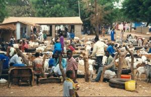 1014050-market_in_abuko-the_gambia